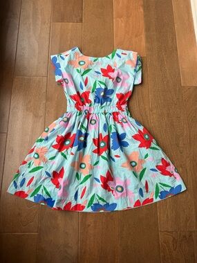 Crewcuts Floral Cotton Twirl Dress - Light Blue with Red & Pink Flowersw